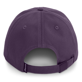 Beemer 2.0 Cap